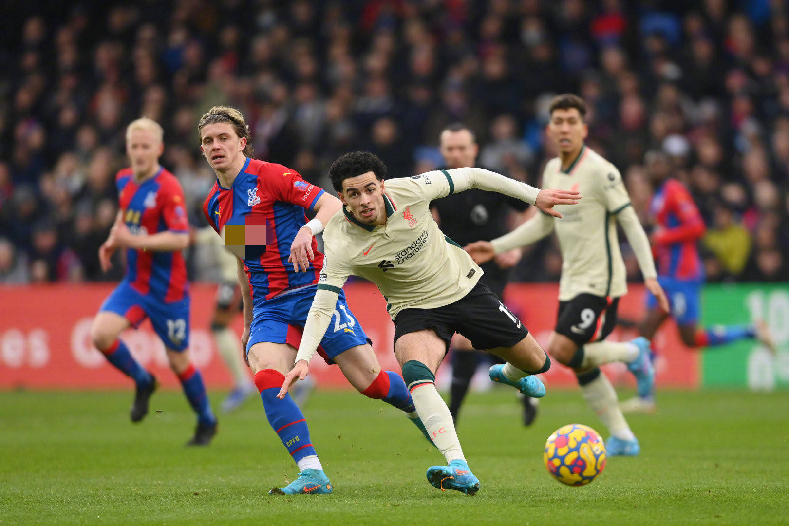 定或个别人 定或个别人